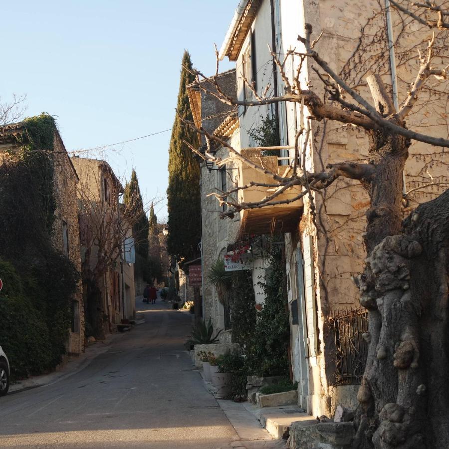 Mas Grimaud - Gite- Studio Et Chambres D'Hotes Familiales Eygalières Εξωτερικό φωτογραφία