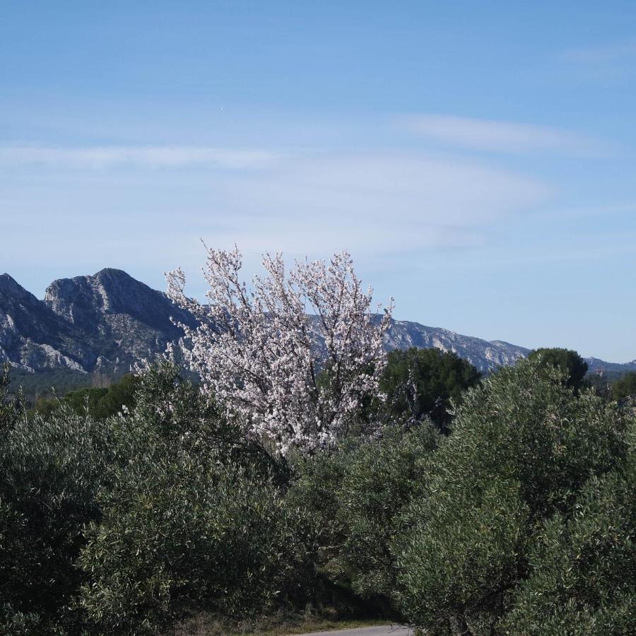Mas Grimaud - Gite- Studio Et Chambres D'Hotes Familiales Eygalières Εξωτερικό φωτογραφία